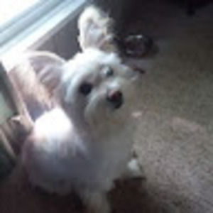 Meet your Posher, Jefflinda